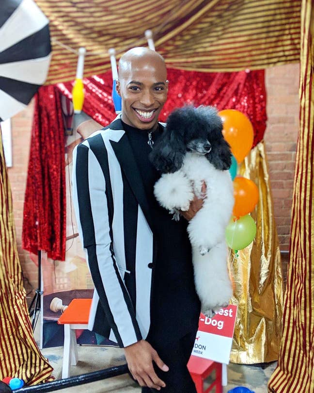 Pet Friendly Room/Studio Wanted Main Photo