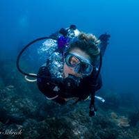 PhD student and professional looking for a flat Main Photo