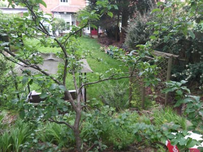 Chabtry rd, Bills included, live in landlord Main Photo
