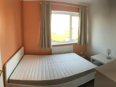 Bright single bedroom  Main Photo