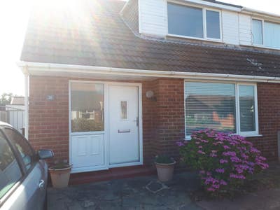 Room in attractive semi in lovely neighbourhood. Main Photo