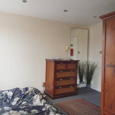 Sunny room with own bathroom in lovely veggie home Main Photo
