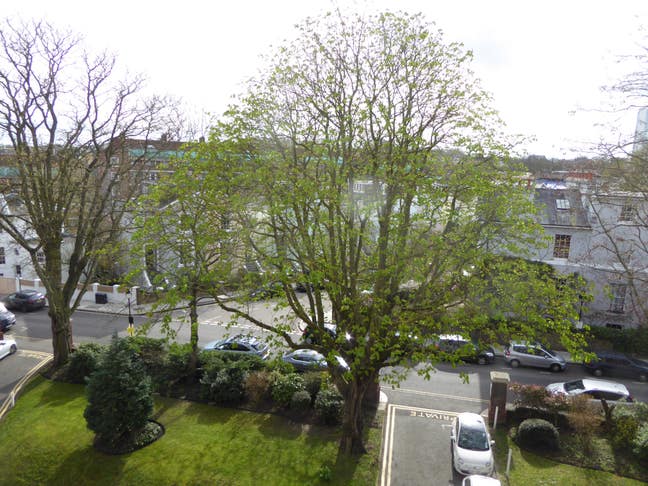 1 Bed, Primrose Hill (NW3) Main Photo