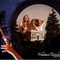 27 yr old female seeking double room Main Photo