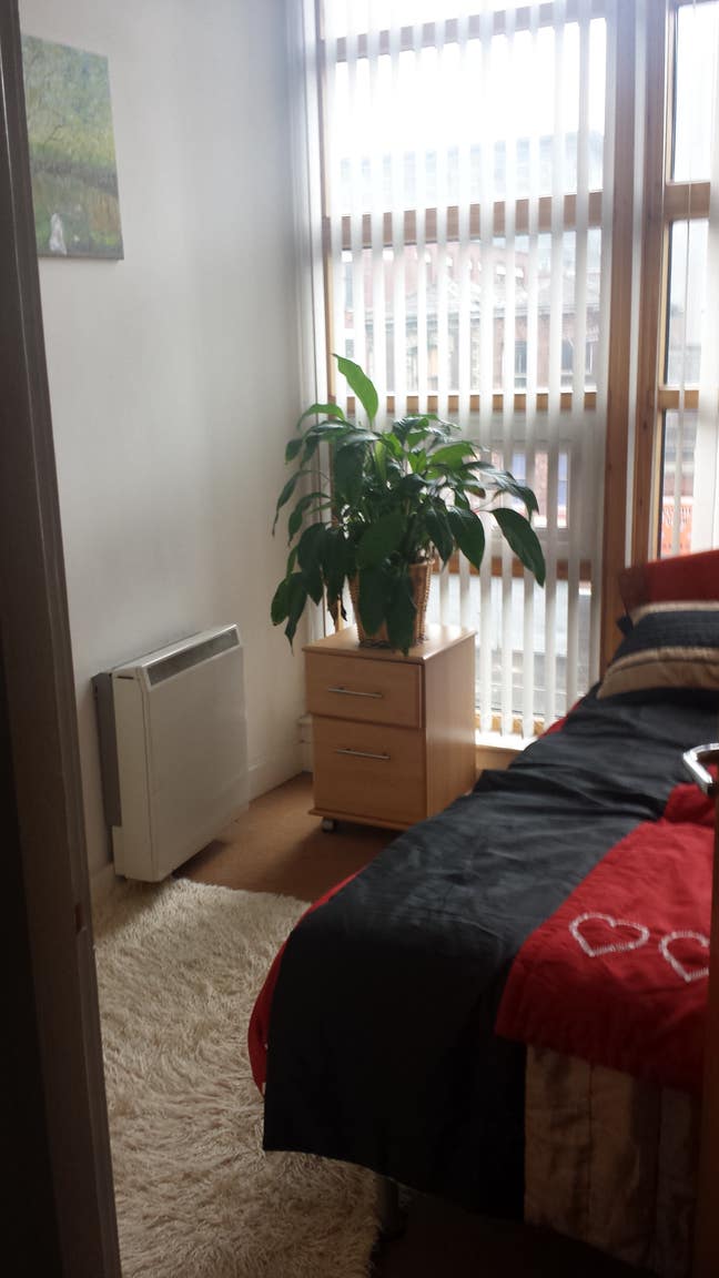 Monday to Friday central paradise  Main Photo