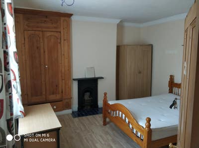 Female Pro to share big  house! Main Photo