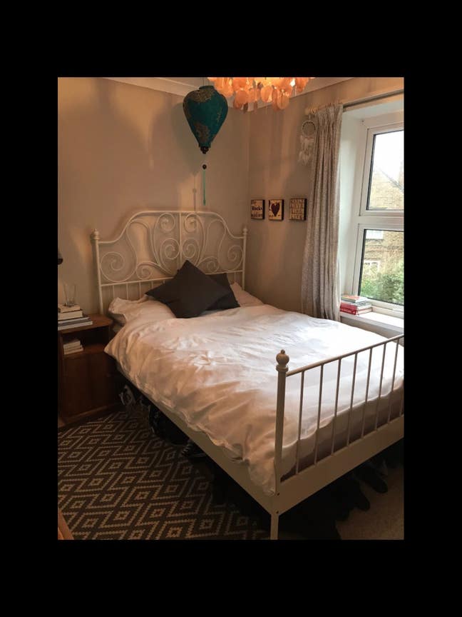 Double room in lovely garden  flat. Main Photo