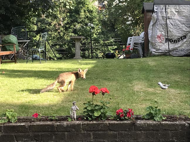 Leafy suburbia & Close to the city Main Photo