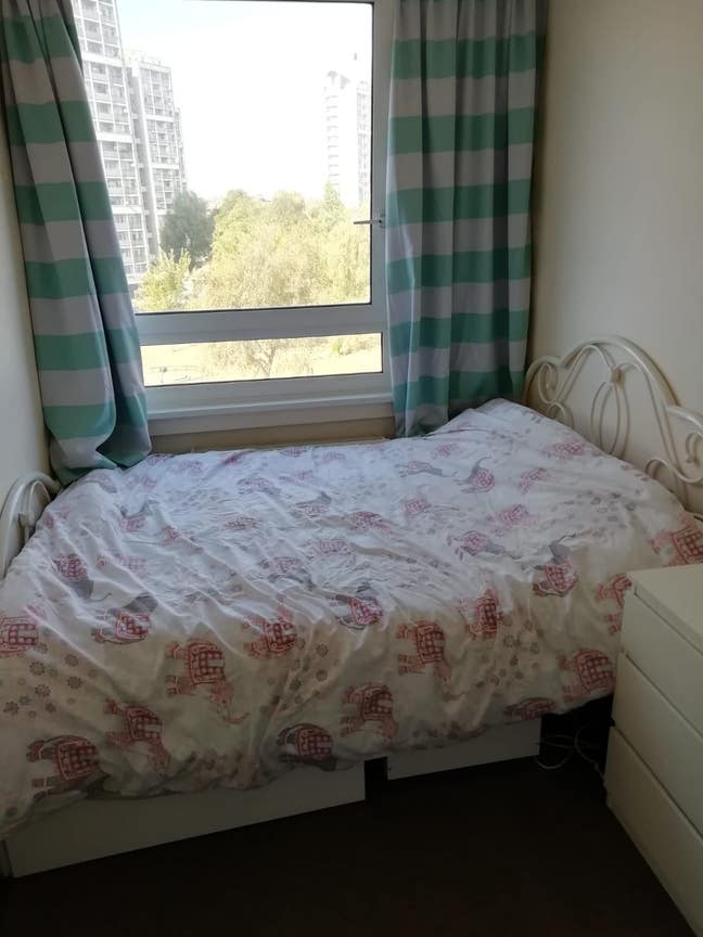 Large Single room, Camberwell, Oval Tube(Zone2),  Main Photo