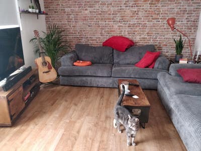 Sunny Double Room in a lovely flat with a cat Main Photo