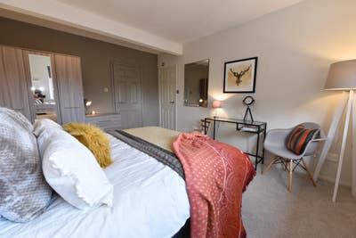 Large Double Room + Ensuite in Great location Main Photo