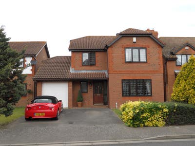 Double Room Available /Large Detached House Main Photo