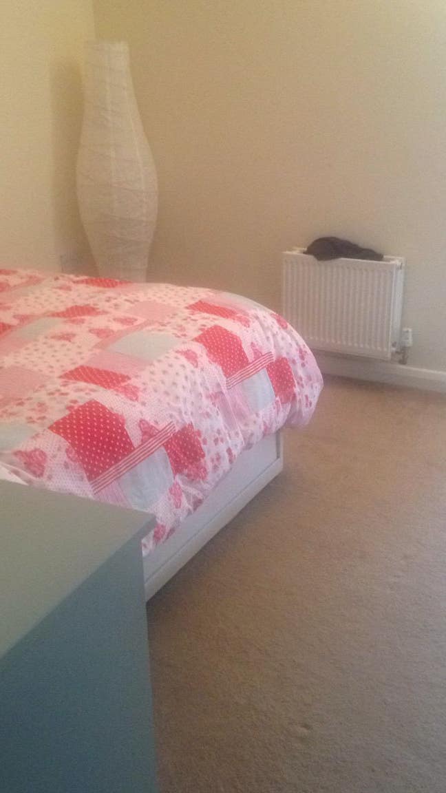 Short or long term let double bed with bathroom  Main Photo