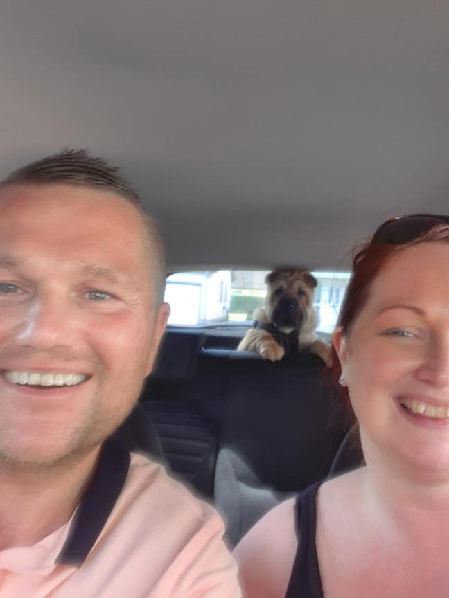 Male 46 Kesh room wanted mon-Fri Main Photo