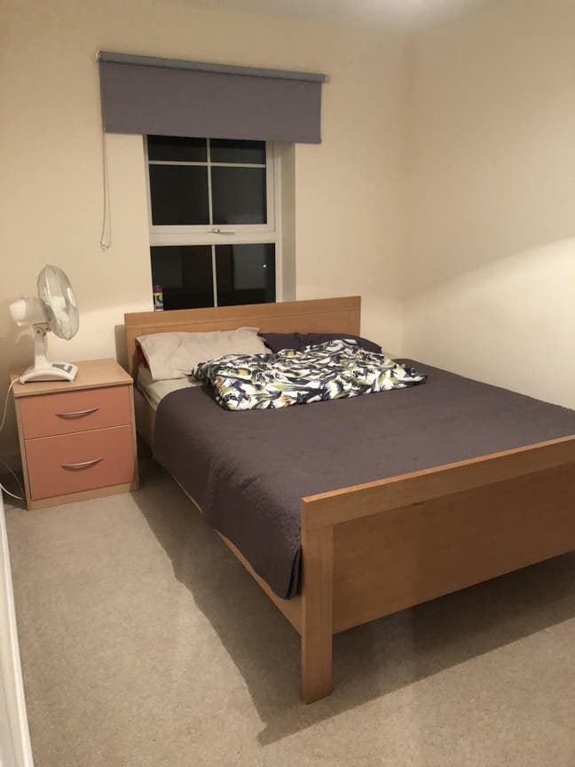 Large Room to let in Hatfield  Main Photo