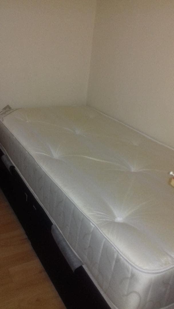 Gorgeous Single Room Available  Main Photo