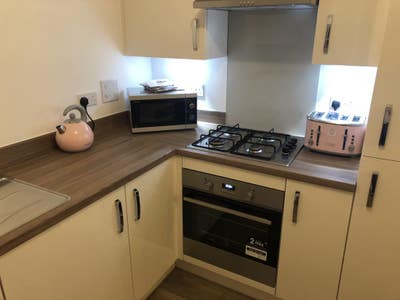 Room to Rent in Modern Flat Main Photo