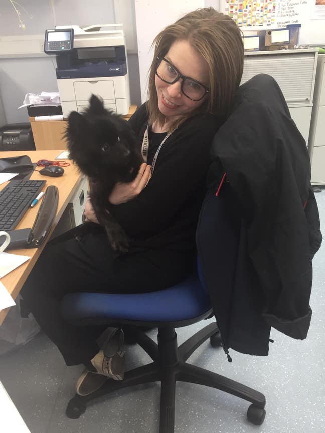 Looking for a place to call home Main Photo