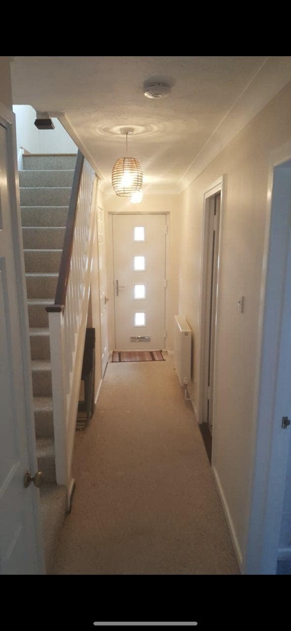 Double Room in great location available! Main Photo