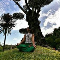 Friendly person in search of a home Main Photo