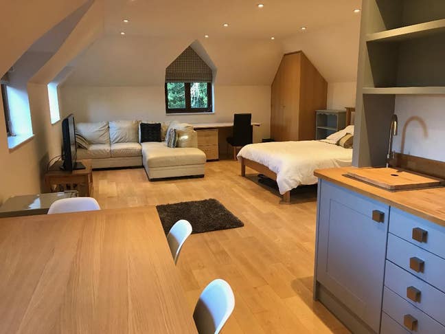 Enormous studio apartment, Kingston Main Photo