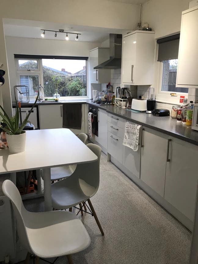 Double Room for Male in Horfield Available Now Main Photo