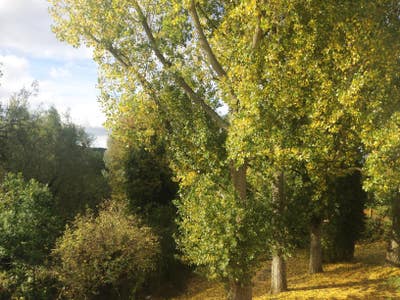 Dual level, 2 bed apt w/ riverbank views & garden Main Photo