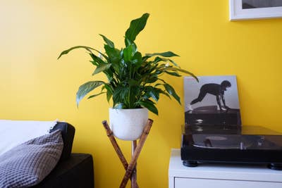 Roomy 1 bed in heart of the northern quarter Main Photo