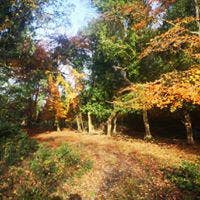 58 year old Male seeks a single or double room Main Photo