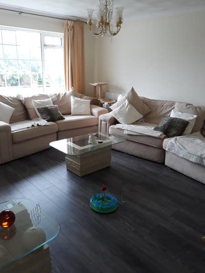 Room to Rent in lovely Bungalow Main Photo