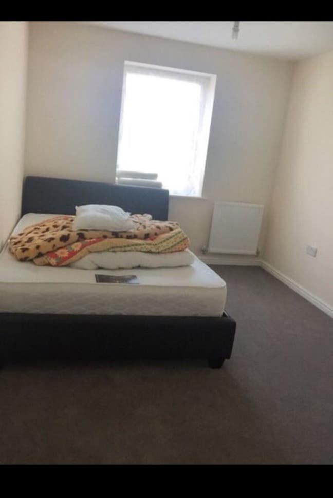 Spacious Double Room Avail. 14/12/2025 £550 Main Photo