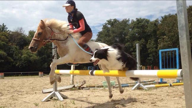 looking for a studio or flat Main Photo