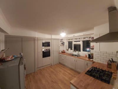SE London flat with a gorgeous puppy! Main Photo