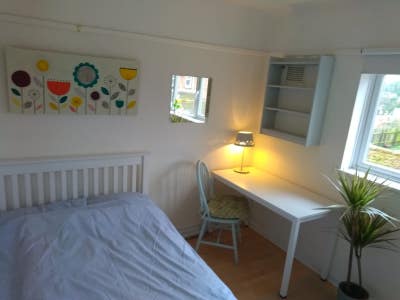 Double Room with Your Own Separate Kitchen! Main Photo