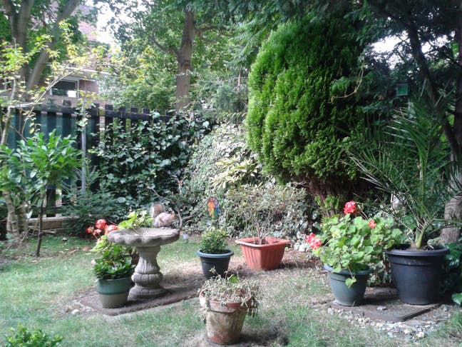 1 Bedroom Flat Private Let Main Photo