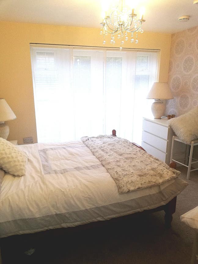 Room to let for a professional Main Photo