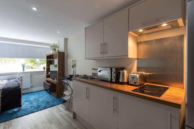 Huge Luxury Studio Living! All Inclusive  Main Photo