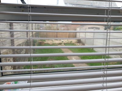 Large, bright, double room in friendly houseshare Main Photo