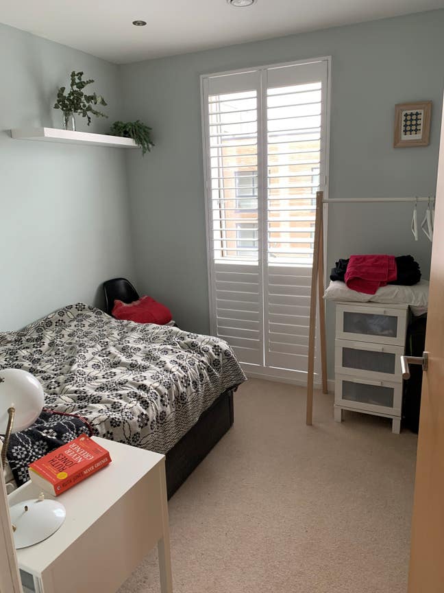 Sunny room in a chilled out apartment Main Photo