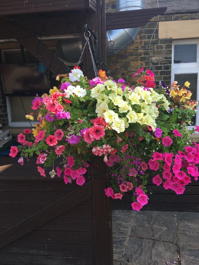 Nice double fully furnished sky tv double bed  Main Photo