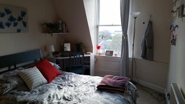 Cozy, bright room for rent Main Photo