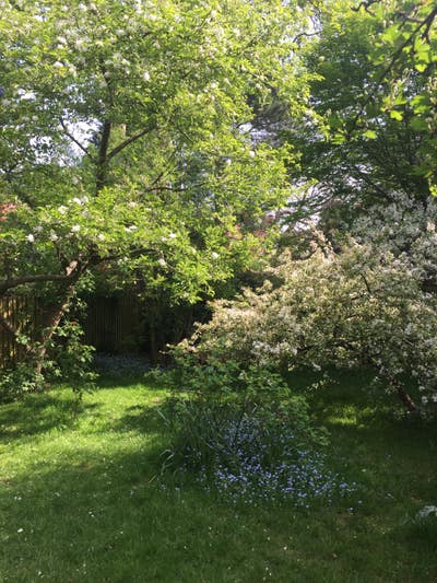 Chiswick - Large Double Room in Garden Flat Main Photo