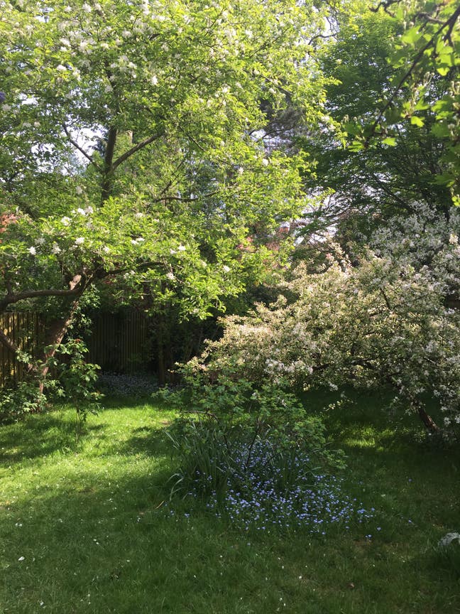 Chiswick - Large Double Room in Garden Flat Main Photo