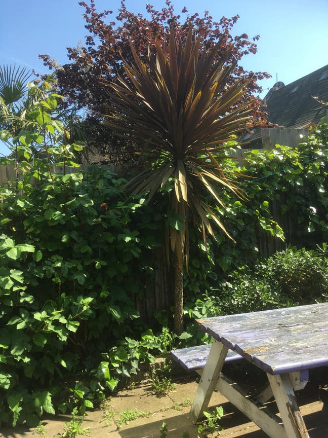 Double room in a big house with a garden Main Photo