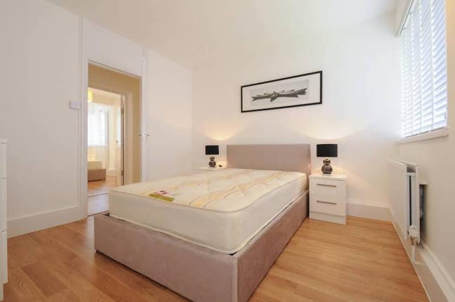 Double rm prof share. ALL bills,wi-fi,cleaner,TV's Main Photo