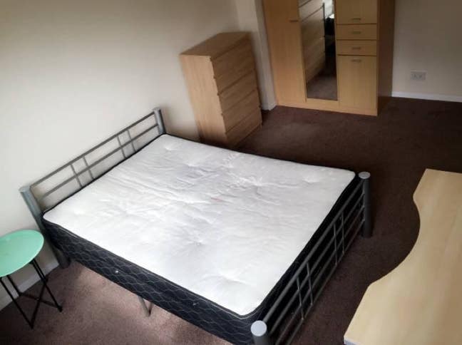 HUGE room in Bow & Garden | ZONE 2 🚊 Main Photo