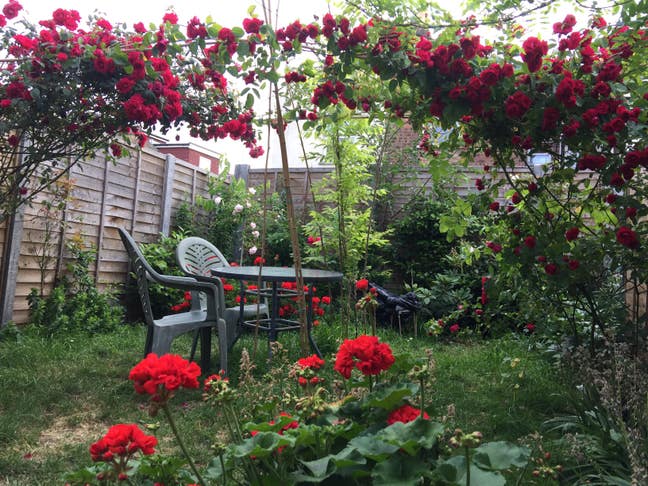 Big Double  room for rent Main Photo