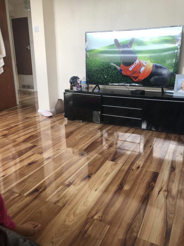 Nice clean room if u interesting email me pls  Main Photo