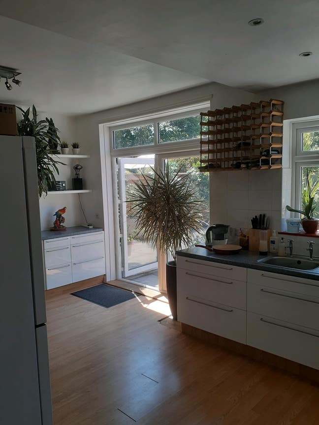 Large double room for professional male Main Photo