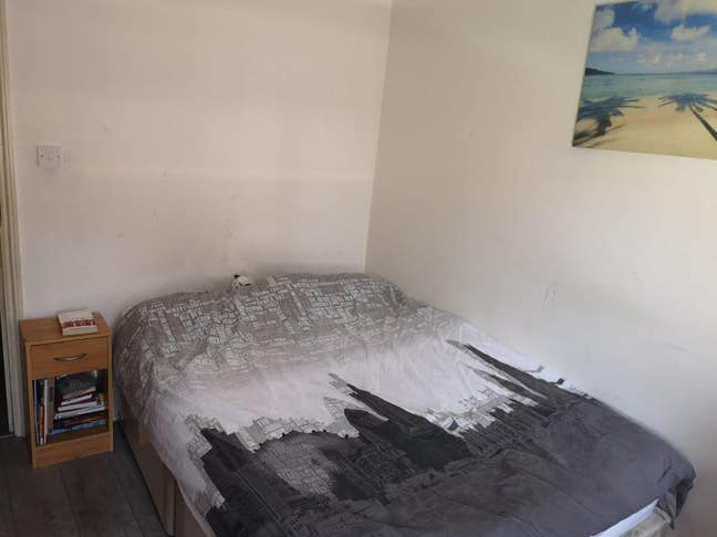 Bright Double Main Photo